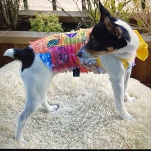 Dress Tank Graffiti (pink)